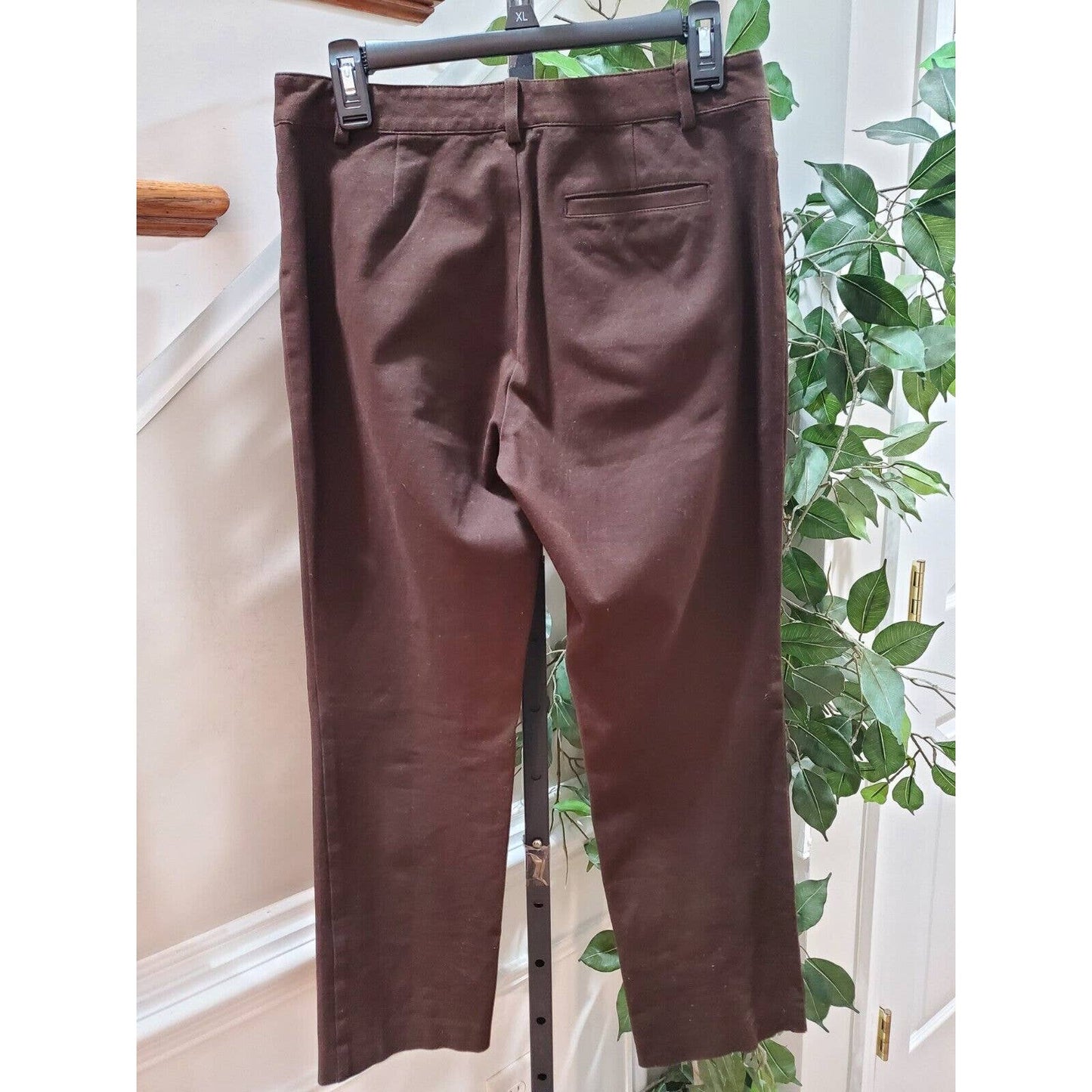 Lauren Ralph Lauren Women's Brown Cotton Mid Rise Zippered Straight Fit Pant 4P