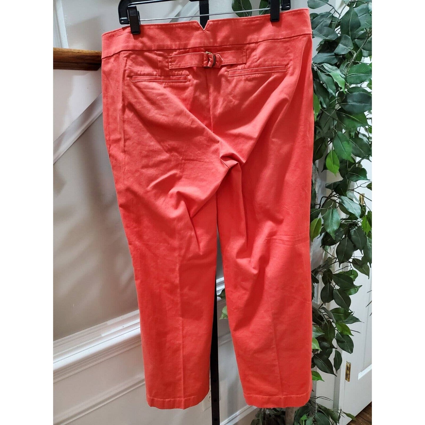 Ann Taylor Loft Women's Red Cotton Mid Rise Straight Fit Trouser Casual Pant